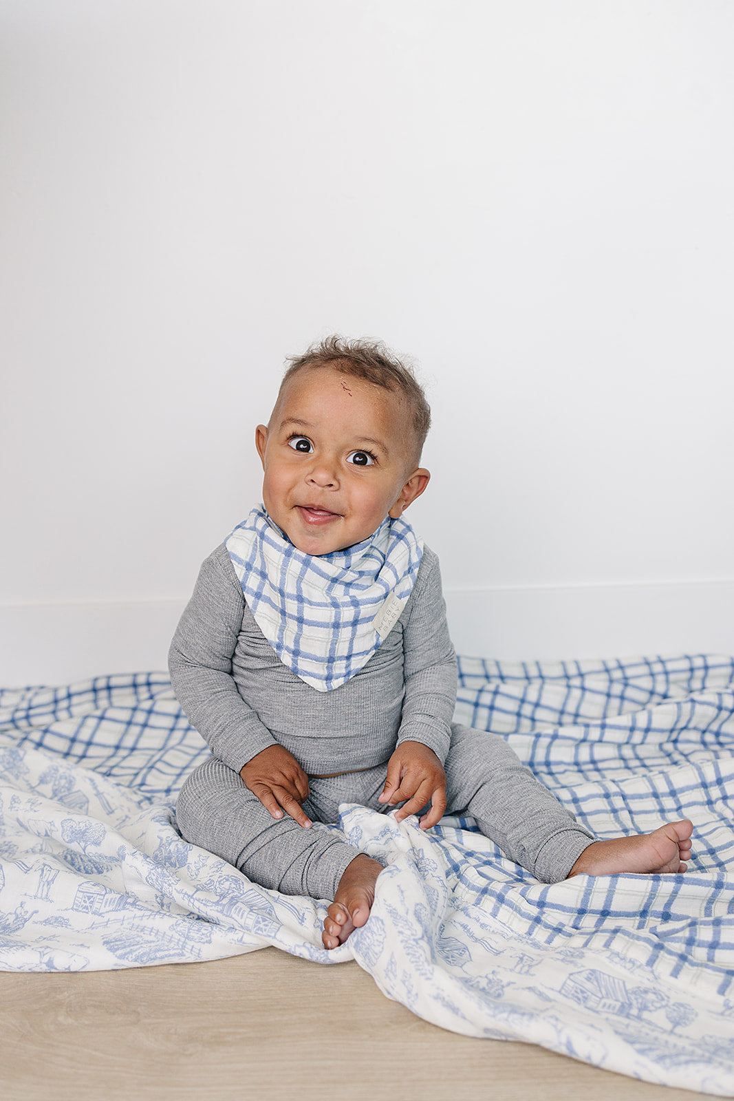 Farm Toile + Blue & Green Plaid Muslin Quilt