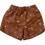 Dark Rust Surf Swim Shorts