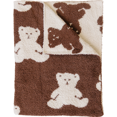 Teddy Bear Plush Blanket